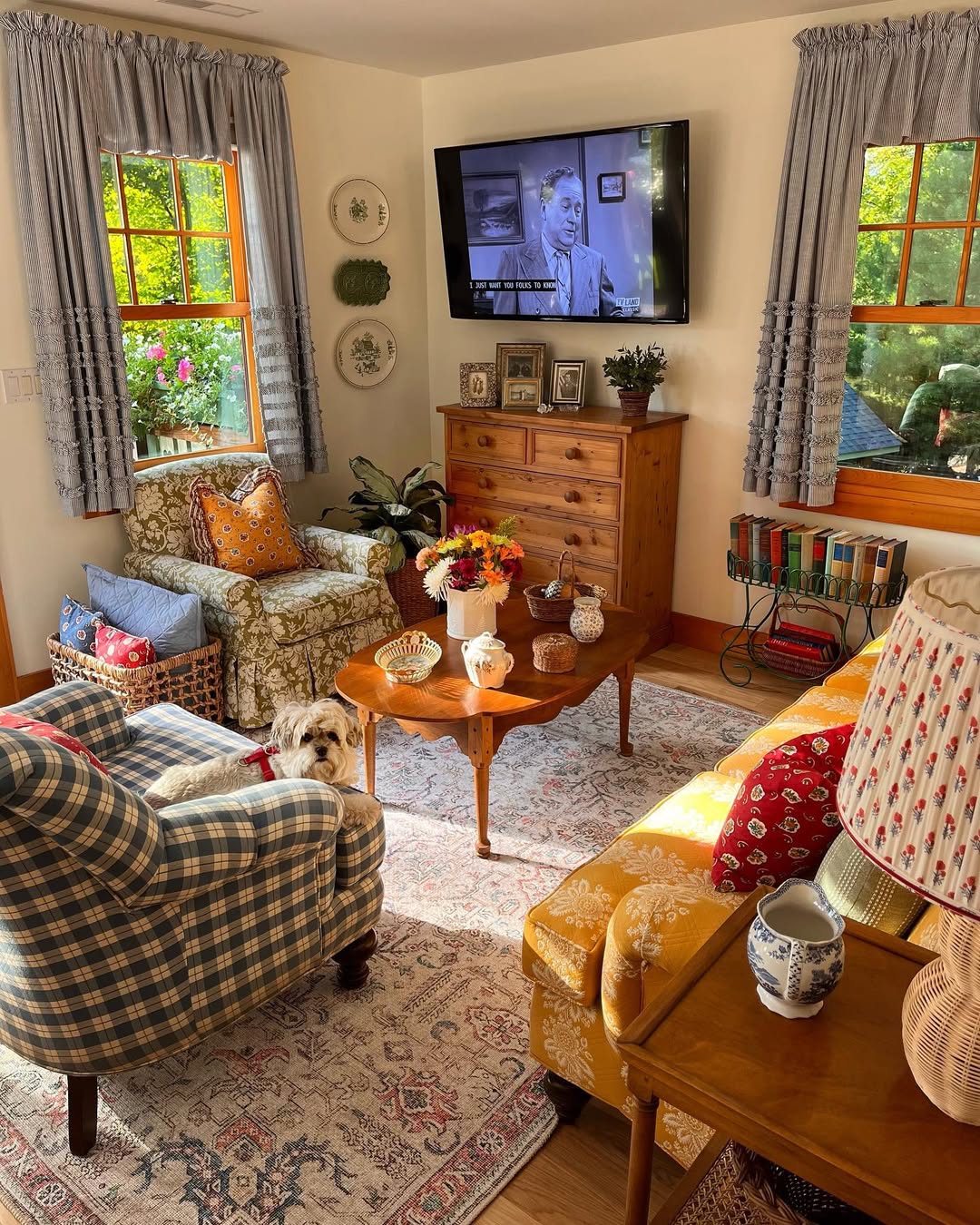 A cozy french country living room with patterned furniture, a dog on a chair, wooden accents, charming decor, large windows, and a TV playing a black-and-white movie.