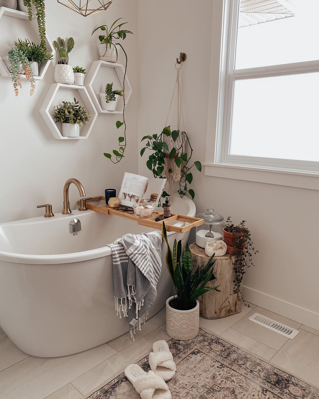 Plant-Soaked Serenity