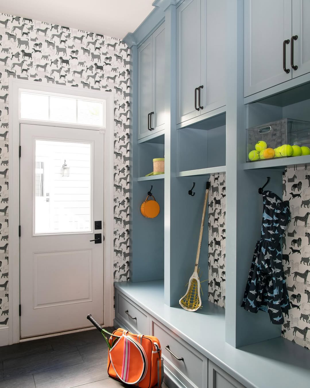 A mudroom with light blue built-in storage, hooks for sports equipment and clothes, a bench, and black-and-white dog-patterned wallpaper—perfect for those seeking inspiring mudroom ideas.