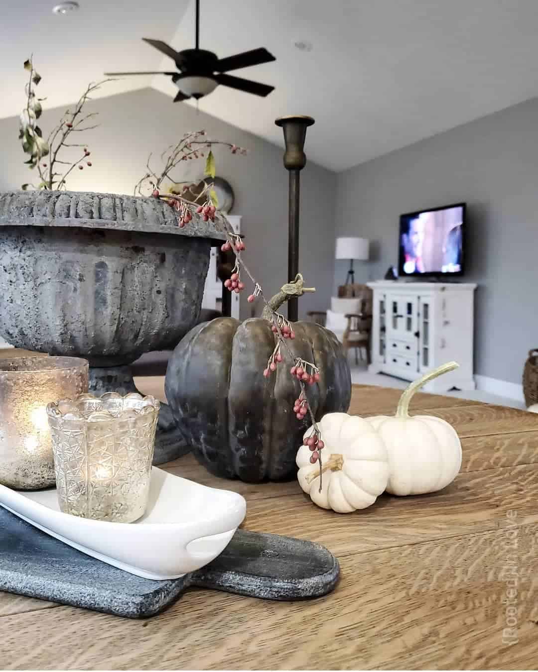 Dark, Textured Pumpkin Anchors a Trio of Fall Gourds