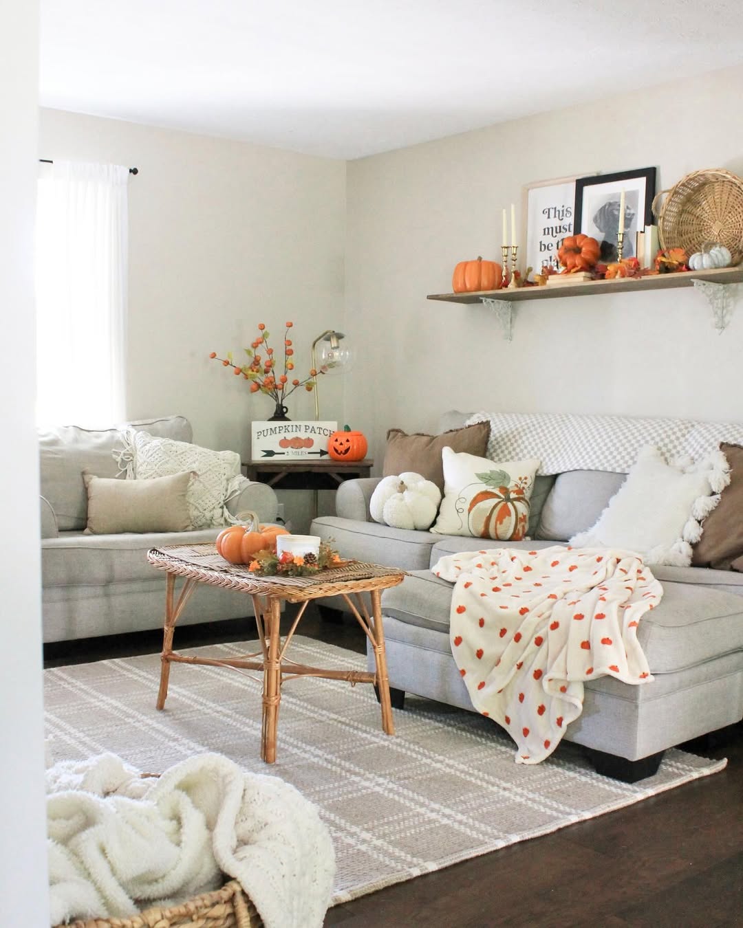 Pumpkins for Movie Night