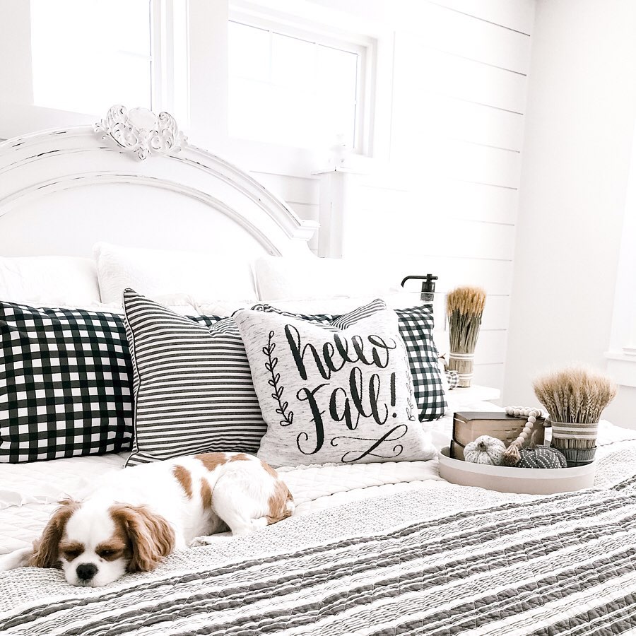 A Monochrome Take on Fall