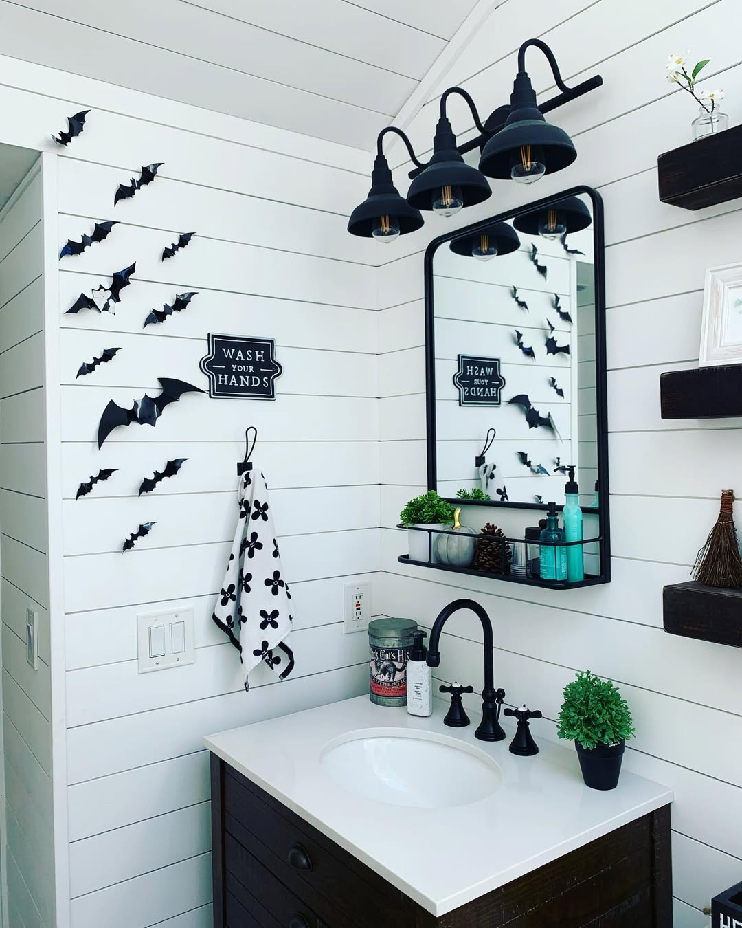 Bats In A Rustic Farmhouse