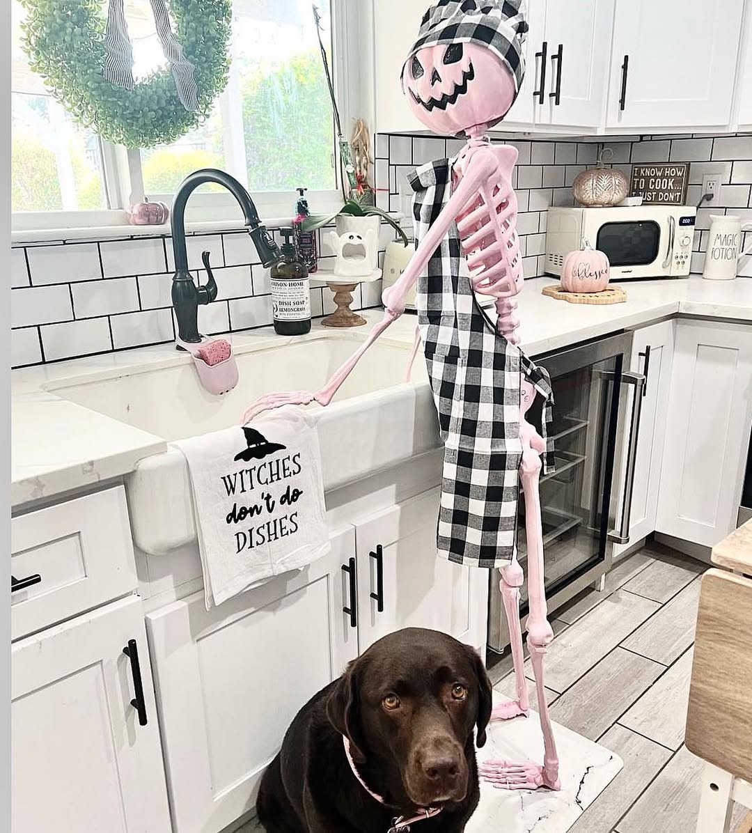 Pink Skeleton Kitchen