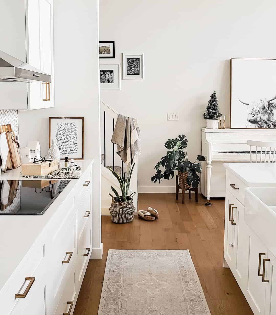 Modern Farmhouse Kitchen With Plant Décor