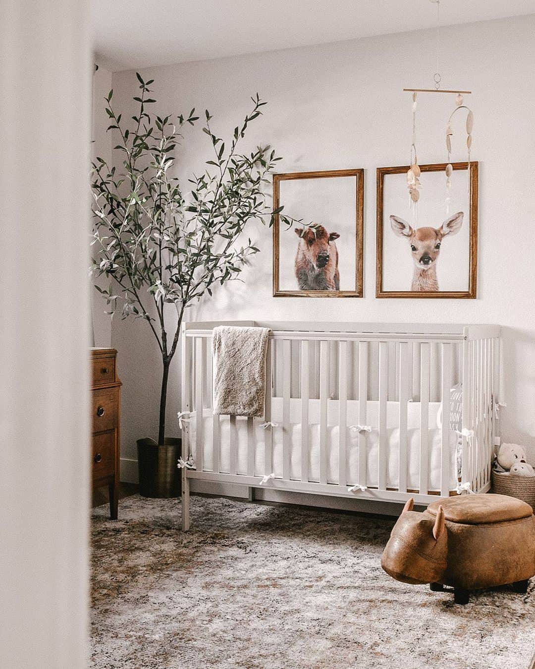 Modern Woodland Forest Nursery